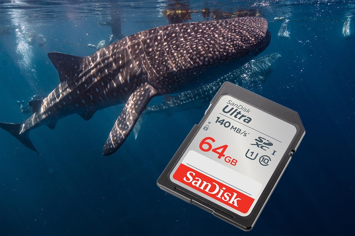 karta sandisk zdjecie lifestyle
