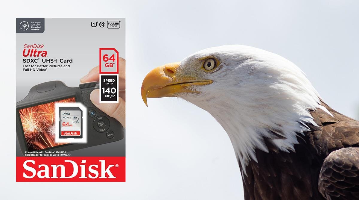 karta sandisk zdjecie lifestyle