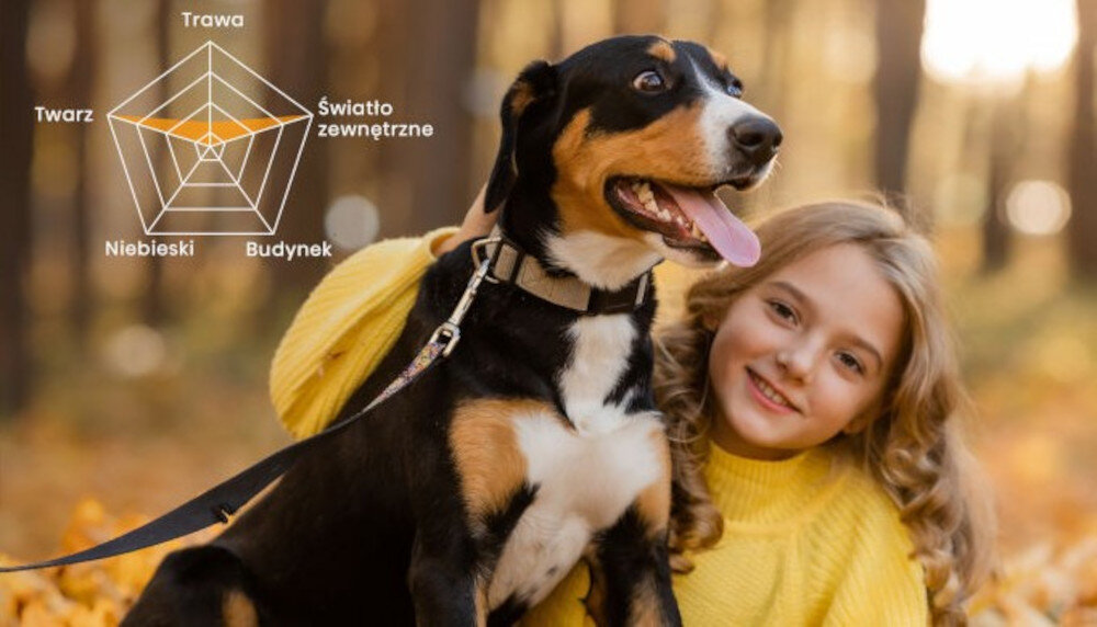 Projektor HISENSE PT1 4K AI Colour szeroka gama barw, dziecko z psem