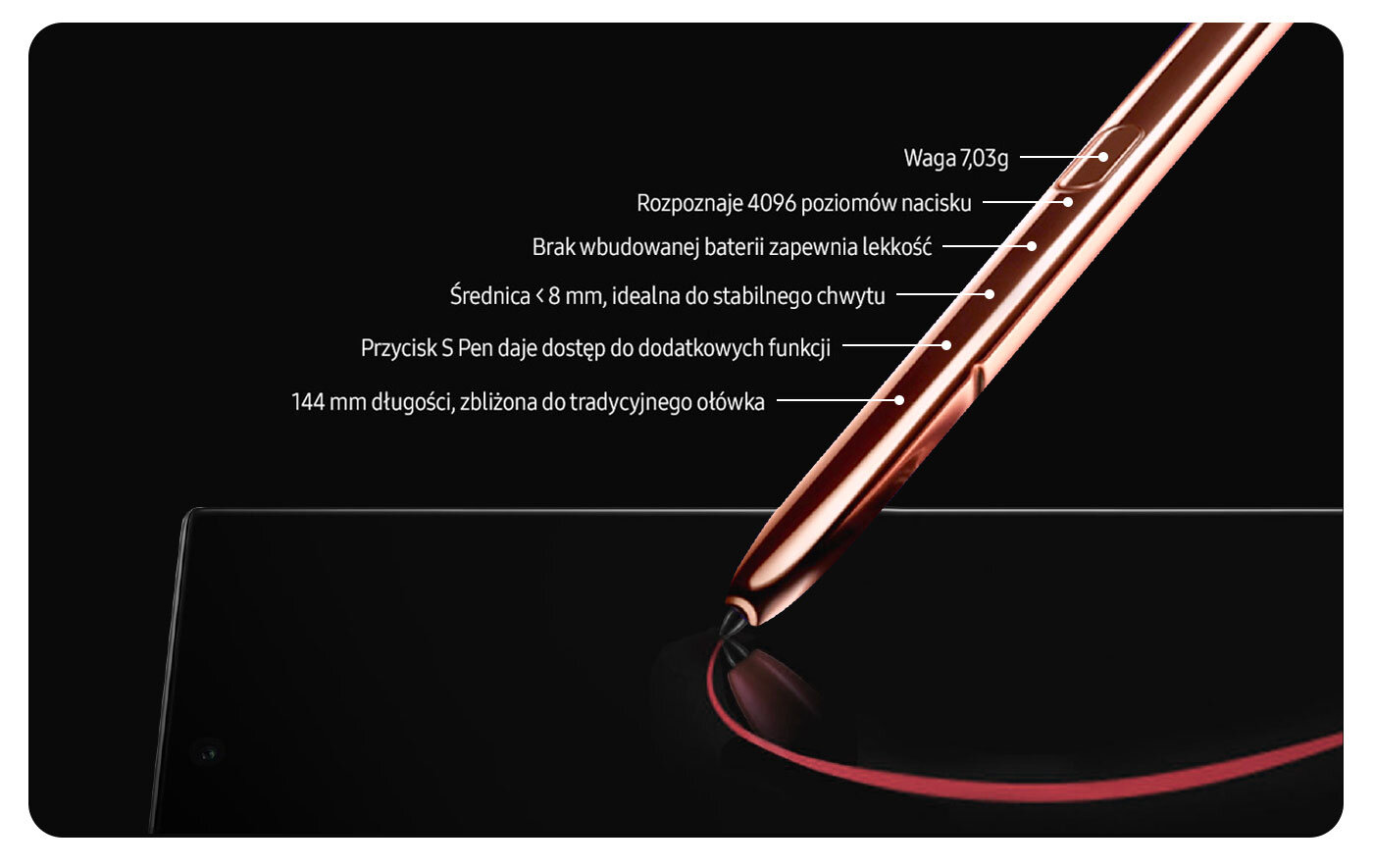 phpCPp1zP rysik sekcja 100