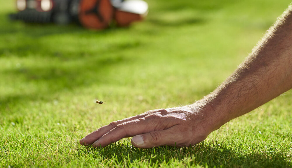 Robot koszący WORX Landroid Vision WR202E trawnik dłoń osoba głaszcze trawę trzy ostrza tnące szerokość robocza około 180 mm wysokość koszenia w zakresie od 30 do 60 mm mulczowanie naturalnie nawozi trawnik