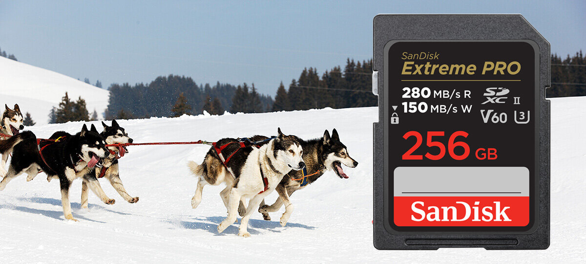 zdjęcie karty pamięci SanDisk Extreme PRO 256GB V60 UHS-II SD