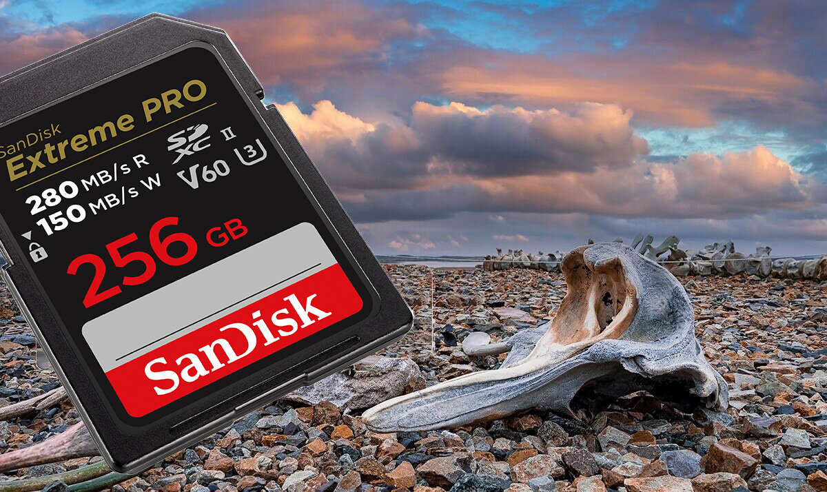 zdjęcie karty pamięci SanDisk Extreme PRO 256GB V60 UHS-II SD