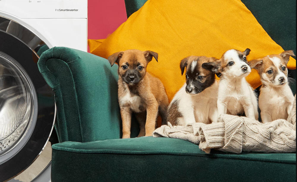 BEKO WUE7512WPBE zwierzę sierść pupil pranie wstępne płukanie dodatkowe alergia usuwanie włosy kłaczki pyłek