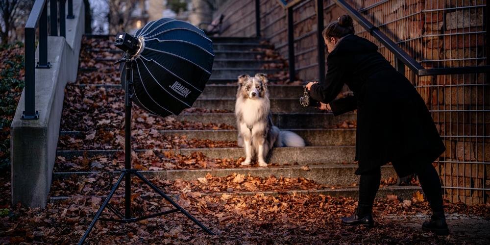 Młoda kobieta fotografuje siedzącego na schodach w przestrzeni miejskiej psa. Kadr doświetla lampa Tara na statywie z softboxem.