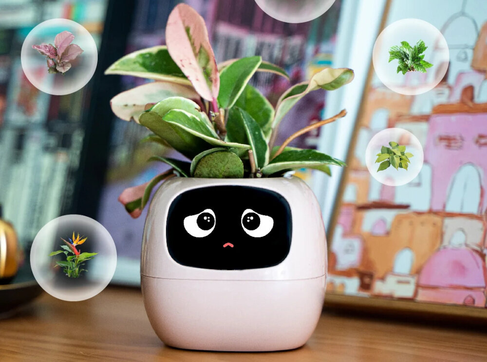 Doniczka inteligentna PLANTSIO IVY Wi-fi Biały doniczka na blacie z bańkami różnych roślin do roślin doniczkowych i ziół do dekoracji wnętrz świeży aromat dla miłośników ozdobnych roślin domowego zielnika