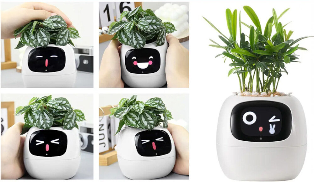 Doniczka inteligentna PLANTSIO IVY Wi-fi Biały doniczka w pięciu ujęciach z różną reakcją na dotyk reaguje na dotyk i gesty ponad 70 ikon emocji tryby Pomodoro dashboard funkcja zegara łączy technologię z codzienną funkcjonalnością uprawa roślin łatwa bezproblemowa