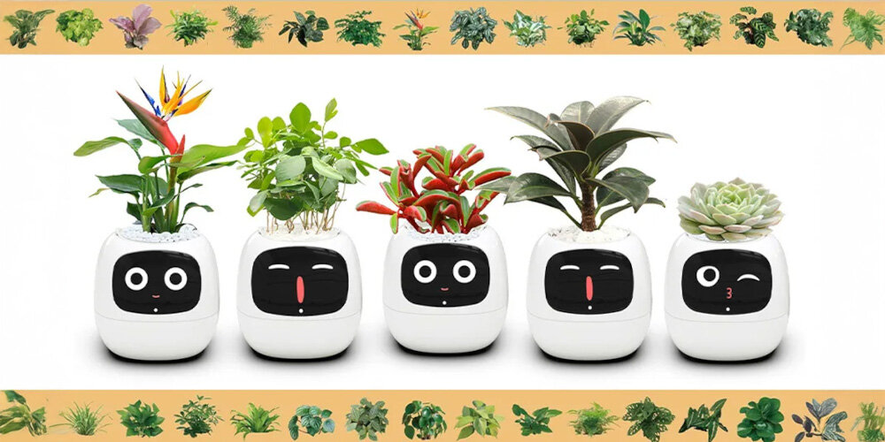 Doniczka inteligentna PLANTSIO IVY Wi-fi Biały doniczka w pięciu odsłonach z różnymi emotikonami na wyświetlaczu bateria 2000 mAh bez trybu uśpienia działa do 9 godzin przy poborze mocy 0.8 W tryb nocny i inteligentne oszczędzanie energii wydłużenie działania o 2-3 dni wygoda inteligentna technologia w zestawie kabel USB-A/USB-C