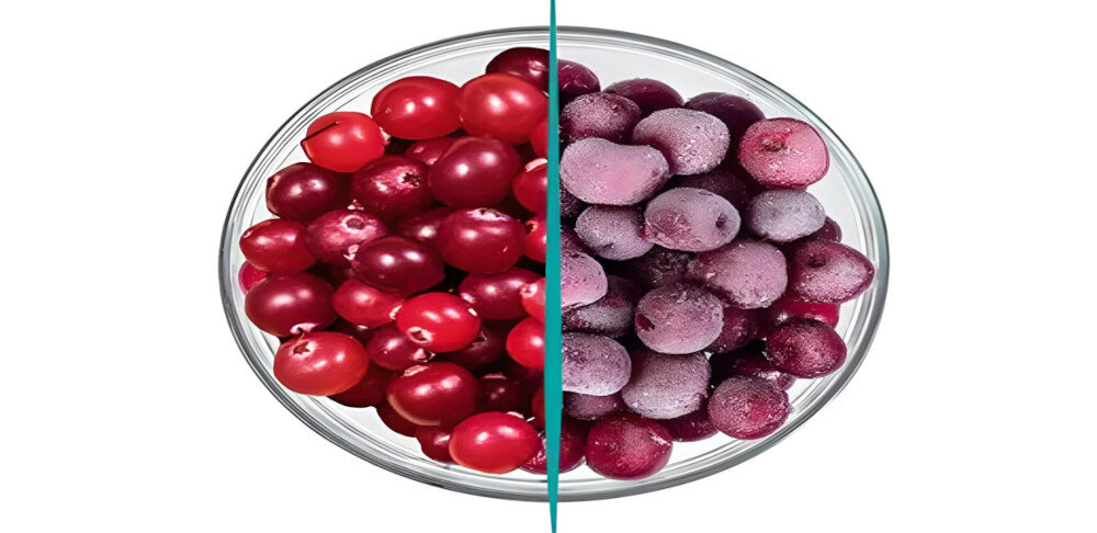 LODÓWKA BEKO GNO5322XPN no frost bez rozmrażania bez lodu