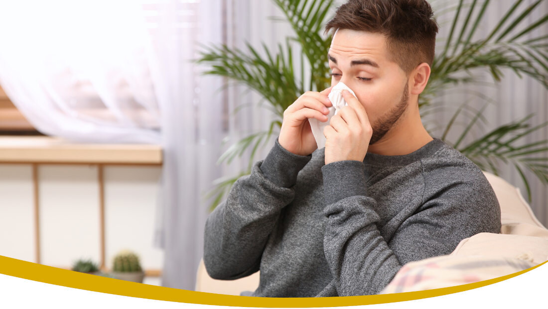 Osuszacz SHARP UD-P20E-W tryby pracy programowanie