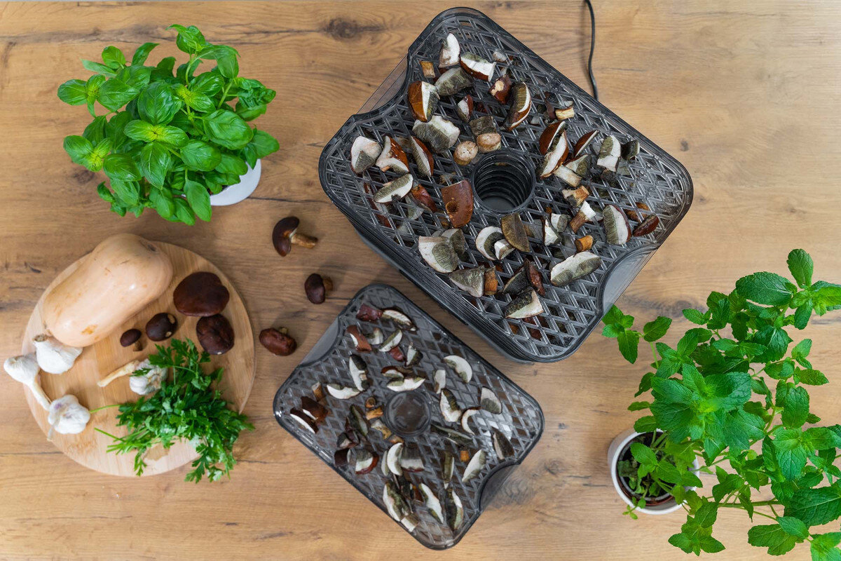 Suszarka do grzybów GÖTZE & JENSEN FD800 tace wymiary