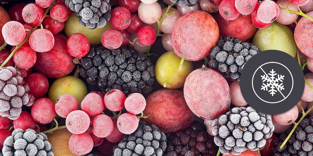 LODÓWKA CANDY ECNBQL3518EV FRESCO 400 wizualizacja ikona mrożone jeżyny porzeczki czerwone owoce szron Low Frost Low Frost mniej lodu oszczędności