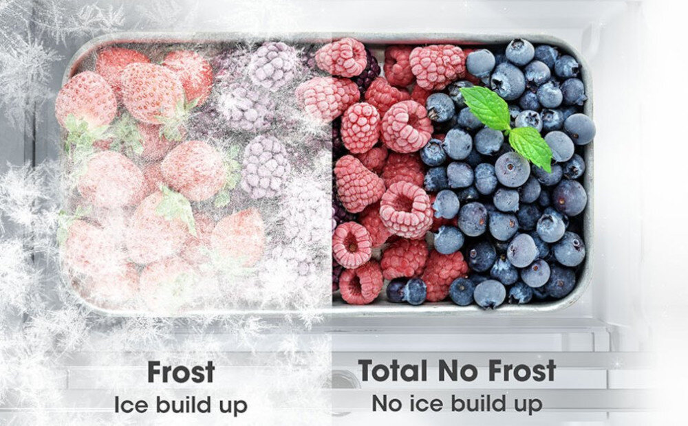 LODÓWKA HISENSE RB470N4BID Total No Frost bez szronu