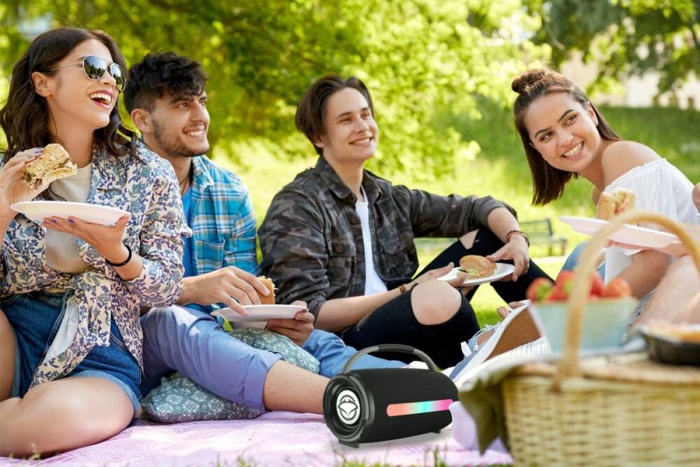 Głośnik mobilny MANTA SPK140GO-BK Radio FM Czarny bluetooth