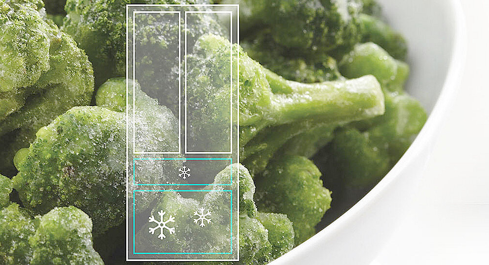 Lodówka HISENSE RM469N4AC szybkie mrożenie obniżenie temperatury kolory