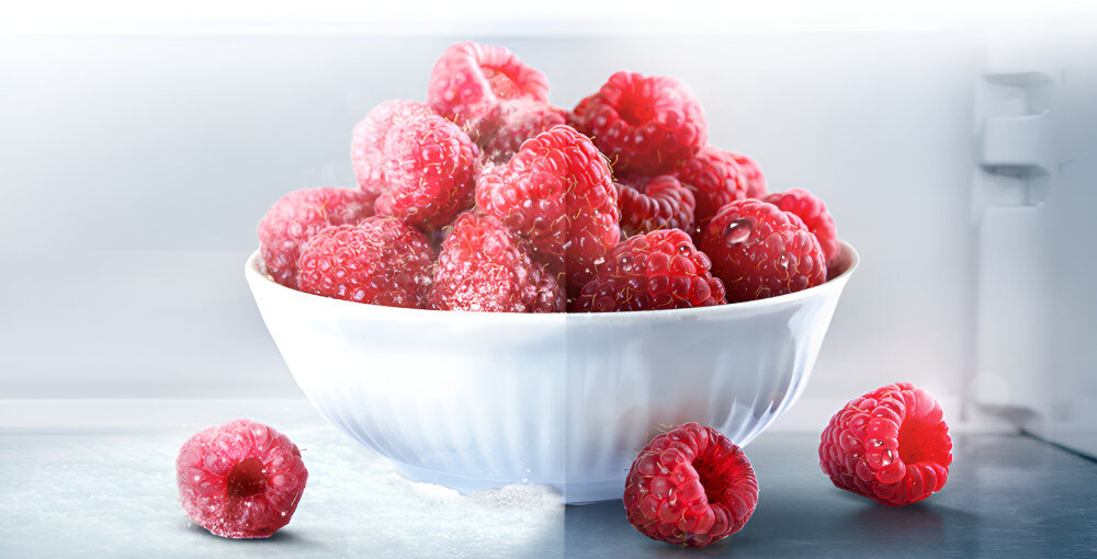 Lodówka HISENSE RM469N4AC no frost bez rozmrażania bez szronu