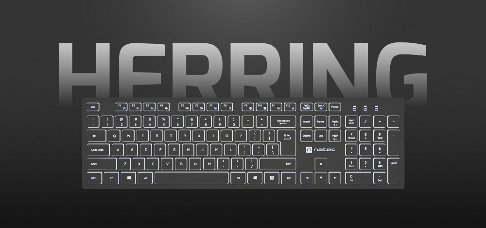Klawiatura NATEC Herring Glow - klawiatura na szarym tle, z tyłu napis herring