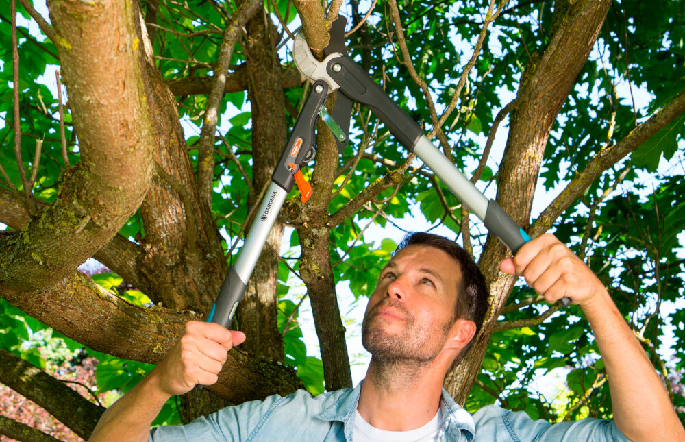 Sekator do gałęzi GARDENA 8773-20 drzewa niebo ogród osoba widoczna z przodu trzyma sekator w dłoniach tnie gałęzie wszechstronne narzędzie pielęgnacja ogrodu cięcie gałęzi