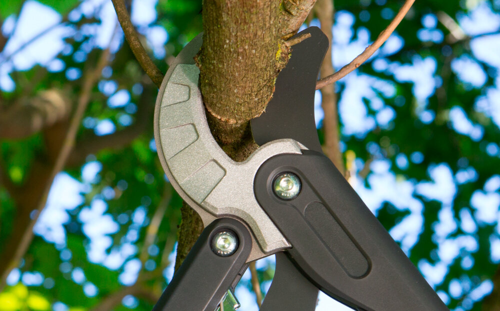 Sekator do gałęzi GARDENA 8773-20 drzewa niebo gałęzie zbliżenie na ostrza sekator tnie gałąź górne ostrze sekatora precyzyjnie szlifowane i pokryte powłoką antyadhezyjną zmniejsza tarcie zapobiega przywieraniu resztek aluminiowe kowadełko wysoka odporność na uszkodzenia