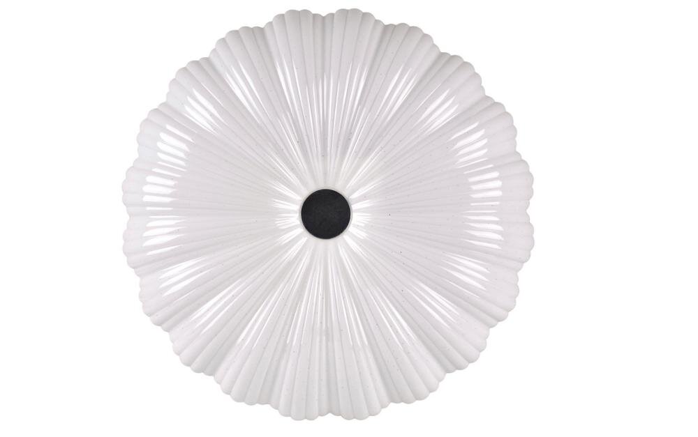 GOLDLUX Flower 50 313546 wnętrze pojedynczy metal elegancko trwałość bezpieczeństwo