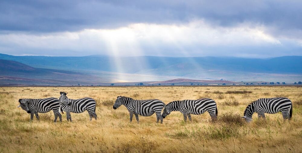   Smartfon DOOGEE S98 Pro   ekran bateria aparat procesor ram pamięć pojemność rozdzielczość zdjęcia filmy opis dane cechy blokady system łączność wifi bluetooth obudowa szkło odporność porty muzyka transfer sieć przekątna matryca waga czujniki