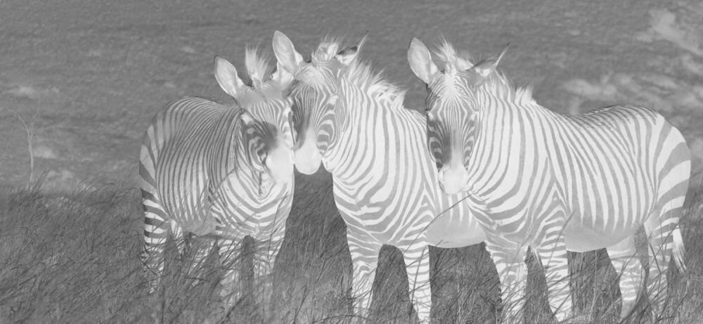   Smartfon DOOGEE S98 Pro   ekran bateria aparat procesor ram pamięć pojemność rozdzielczość zdjęcia filmy opis dane cechy blokady system łączność wifi bluetooth obudowa szkło odporność porty muzyka transfer sieć przekątna matryca waga czujniki