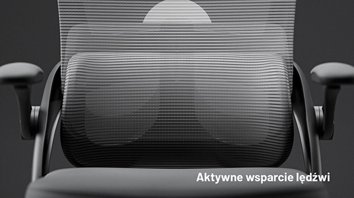 Szary fotel biurowy z siatkowym oparciem i podłokietnikami, z napisem \'Aktywne wsparcie lędźwi\' w dolnym rogu.
