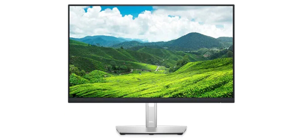 Monitor DELL P2422H 24