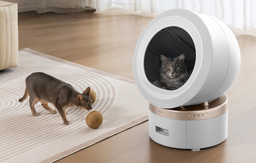 Inteligentna kuweta dla kota MOVA LR10 Prime zdjęcie lifestyle Stały wgląd w zdrowie kota system monitorowania dla kilku kotów w jednym gospodarstwie czyszczenie lub odświeżanie