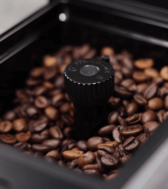 Zbliżenie na pojemnik z ziarnami kawy, w środku którego znajduje się czarny element z pokrętłem. Ziarna kawy są równomiernie rozłożone wokół elementu.