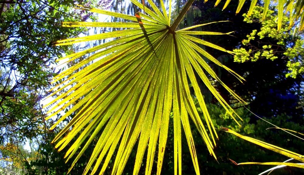 Aparat KODAK FZ55  zdjęcia obiektyw ekran wizjer ogniskowa przysłona migawka obudowa bateria zasilanie filmy nagrywanie rozdzielczość matryca rozmiar przekątna tryby iso montaż lampa światło przyciski sterowanie menu kontrast jasność balans bieli filtry cmos karta pliki format zapis seria