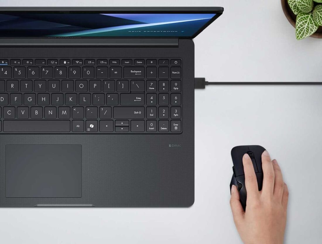 Na obrazie widoczny jest otwarty laptop z klawiaturą numeryczną oraz touchpadem, obok którego znajduje się ręka trzymająca myszkę. W tle widać fragment rośliny w doniczce.