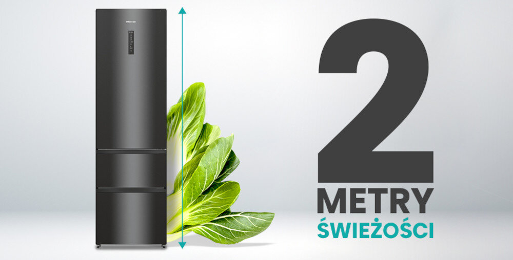 Lodówka HISENSE RM469N4AC dwa metry świeżości