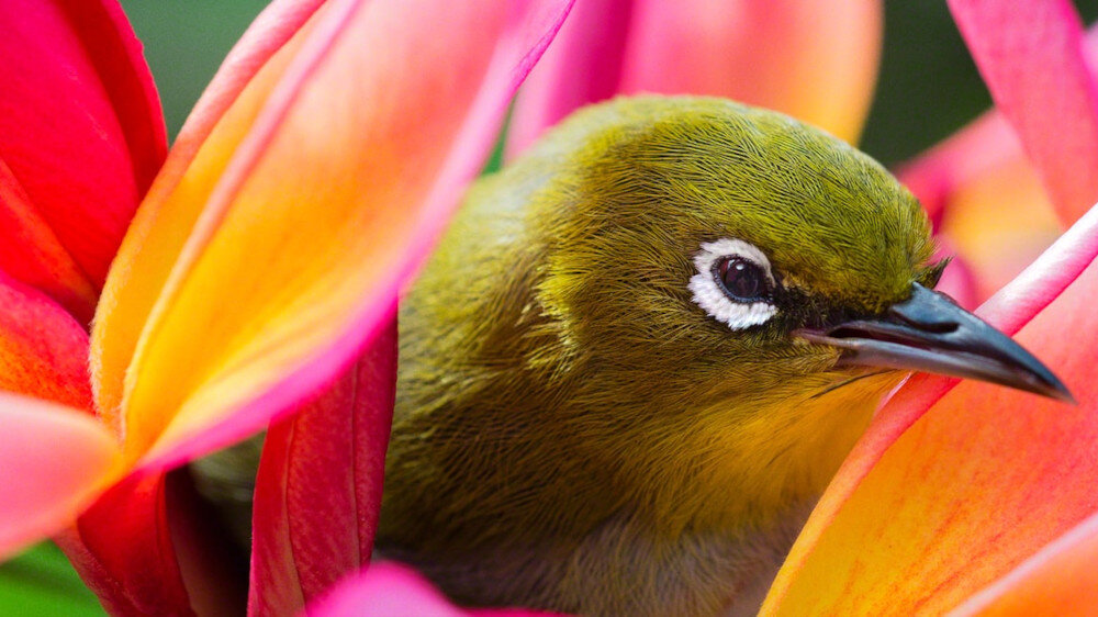 Telewizor SONY LED X90J  - 4K