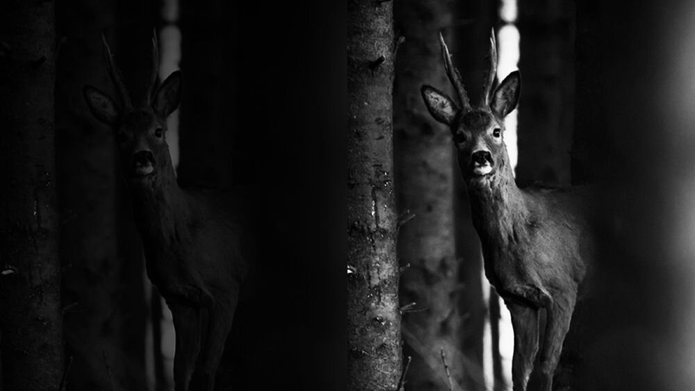 Smartfon HAMMER Iron V    ekran bateria aparat procesor ram pamięć pojemność rozdzielczość zdjęcia filmy opis dane cechy blokady system łączność wifi bluetooth obudowa szkło odporność porty muzyka transfer sieć przekątna matryca waga czujniki oled amoled ips