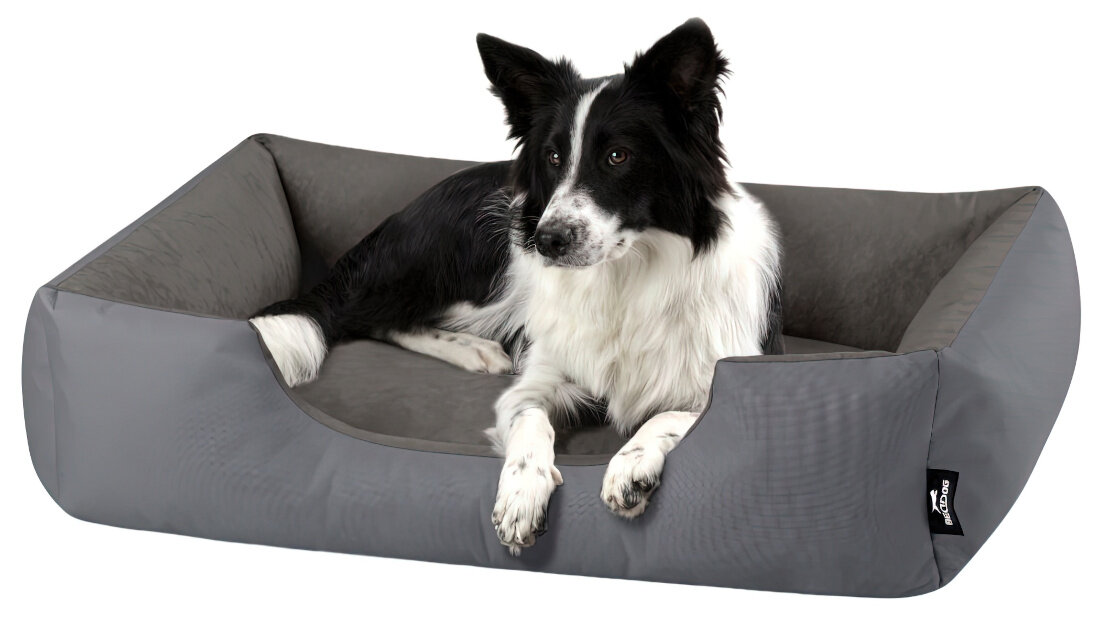 Legowisko dla psa BEDDOG Zara XXL Szary Dla Twojego pupila wygląd prezentacja design wizualizacja lifestyle