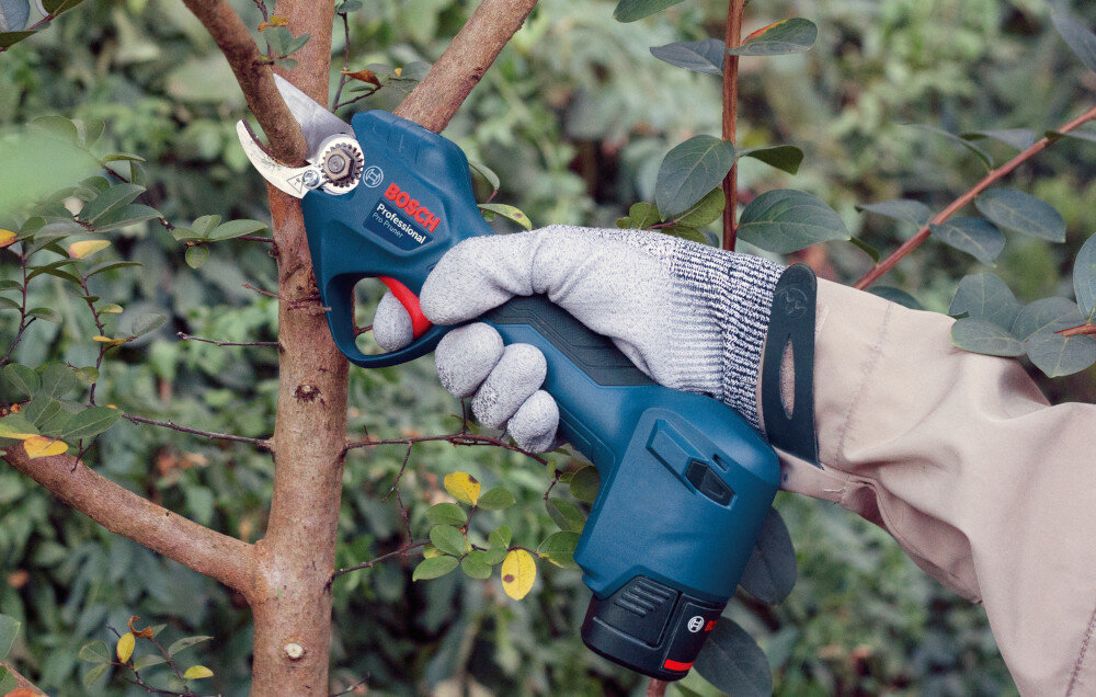 Sekator akumulatorowy BOSCH Pro Pruner 06019K1021 ogród sad osoba przycina gałęzie na roślinie szybkie wygodne cięcie zadbany ogród mobilność
