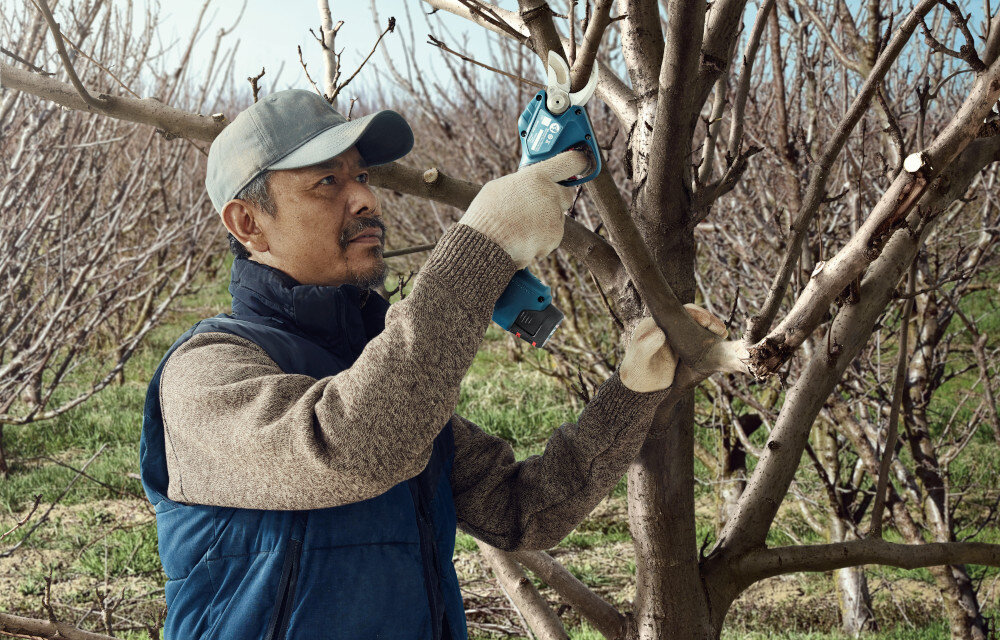 Sekator akumulatorowy BOSCH Pro Pruner 06019K1021 ogród sad osoba przycina gałęzie na drzewku do przycinania drzew i krzewów w sadach w ogrodach przydomowych napęd elektryczny precyzyjne cięcia przy minimalnym wysiłku