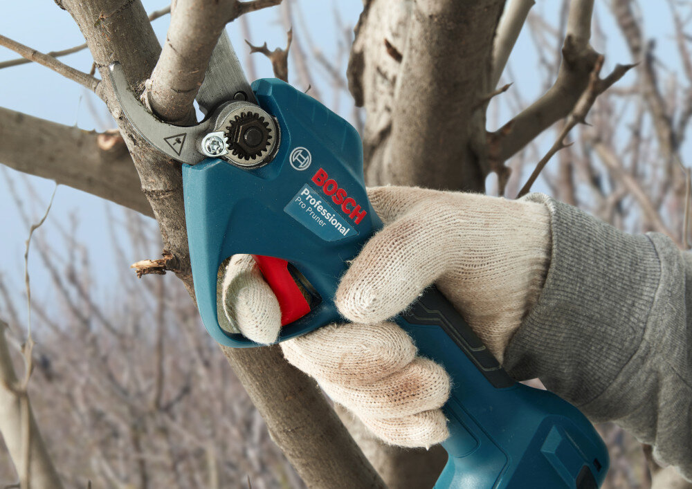 Sekator akumulatorowy BOSCH Pro Pruner 06019K1021 niebo drzewo osoba przycina gałąź zbliżenie na włącznik mechaniczny włącznik zapobiega przypadkowemu uruchomieniu urządzenia bezpieczeństwo intuicyjna obsługa nacisnąć przycisk