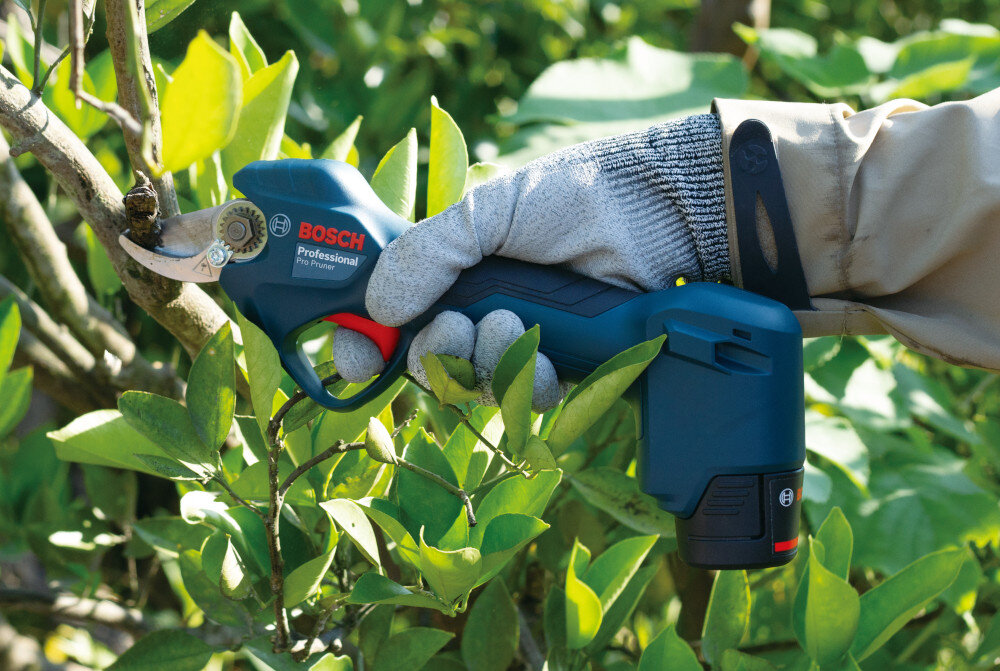 Sekator akumulatorowy BOSCH Pro Pruner 06019K1021 krzewy liście drzewa osoba przycina gałęzie w porównaniu do sekatorów ręcznych efektywność urządzenia wzrasta trzykrotnie można przyciąć większą ilość gałęzi sprawna pielęgnacja