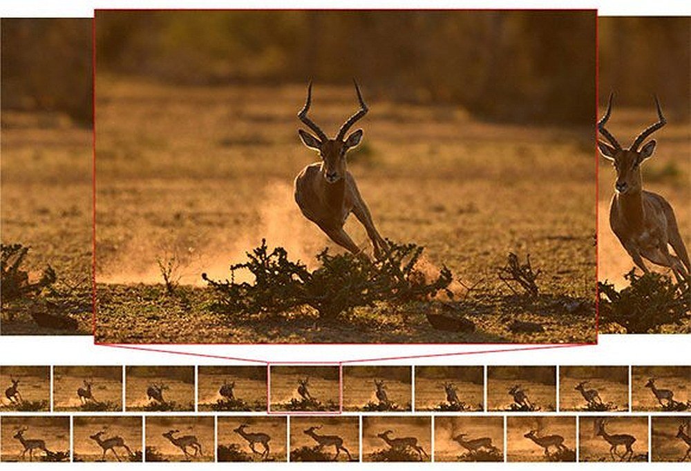 Aparat NIKON D500 zdjęcia seryjne