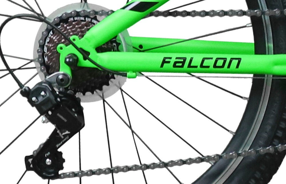 Rower młodzieżowy INDIANA Falcon 24 cale dla chłopca Zielony zbliżenie na przerzutkę biegów białe tło 7 przełożeń tylna przerzutka SHIMANO Tourney duża wytrzymałość i sprawne działanie zmiana biegów jest płynna i bezproblemowa manetka SHIMANO Revoshift typu SL-RV300 odpowiednie dobranie właściwego przełożenia do danego terenu