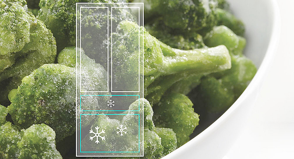 Lodówka HISENSE RM469N4AFD szybkie mrożenie obniżenie temperatury kolory