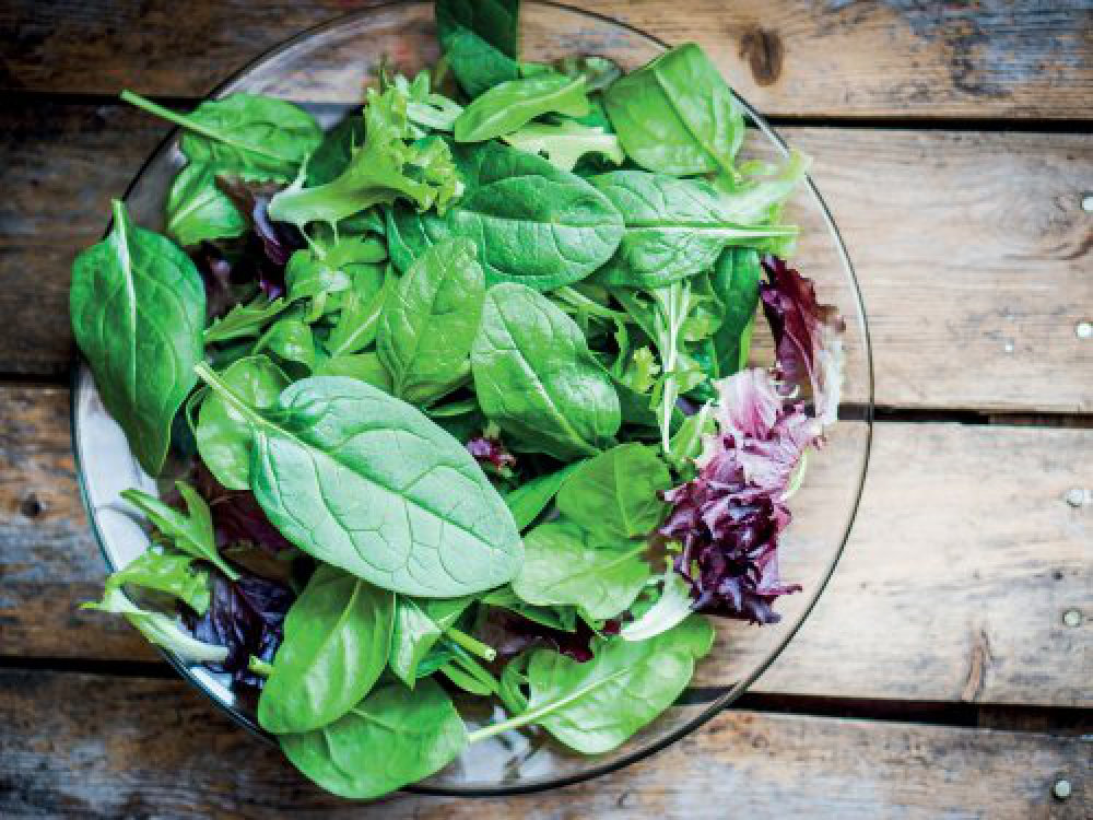 Lodówka GORENJE ONRK193CO - NoFrost Plus