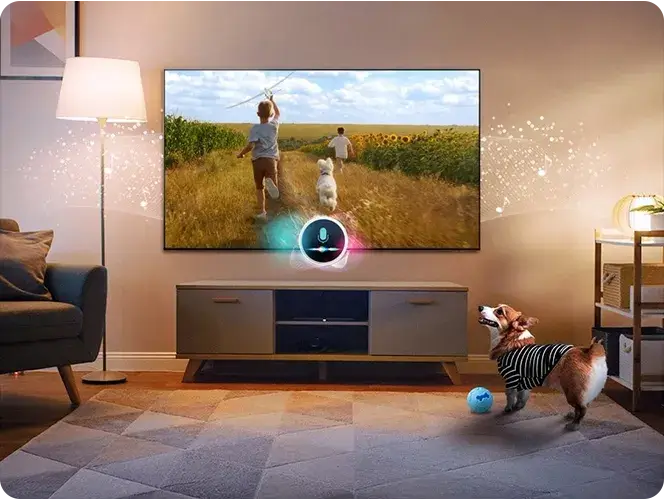 Pies szczeka w salonie, mikrofon TV wychwytuje hałas. TV odtwarza scenę 2 chłopców biegnących z psem po polu słoneczników.