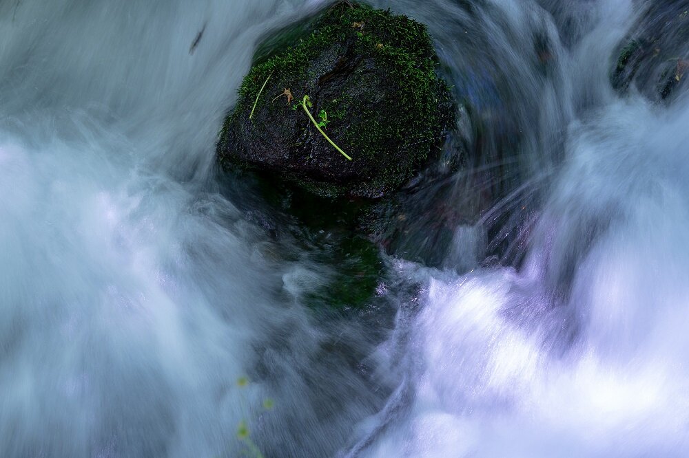 Obiektyw SIGMA Digital C 56mm f-1.4 DC DN  Kompaktowy 