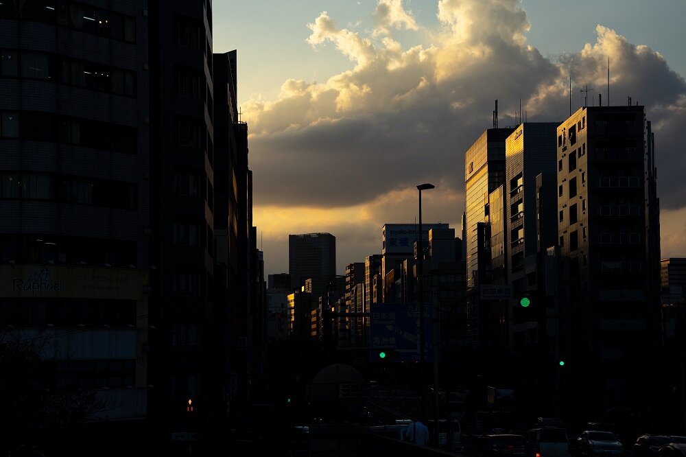 Obiektyw SIGMA Digital C 56mm f-1.4 DC DN  konstrukcja 