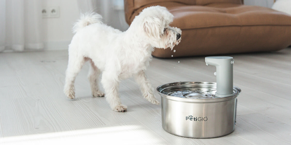 Fontanna dla zwierząt PETIGIO Peti-to-Eat PETI-150