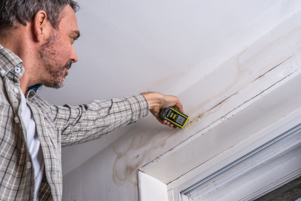 Wilgotnościomierz RBPINMM1 RYOBI zakres pomiaru 0-99,9 procent temperatura pokojowa