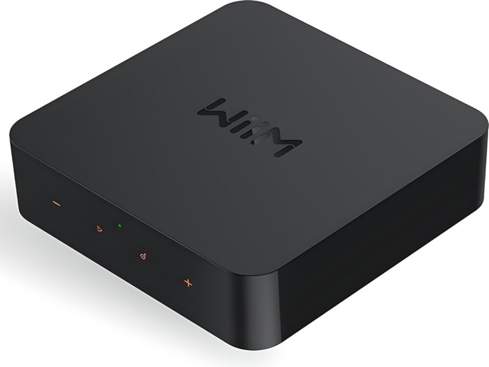 Odtwarzacz sieciowy WIIM Pro Plus - Obsługa formatów